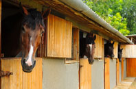 free Appleton Wiske stable construction quotes